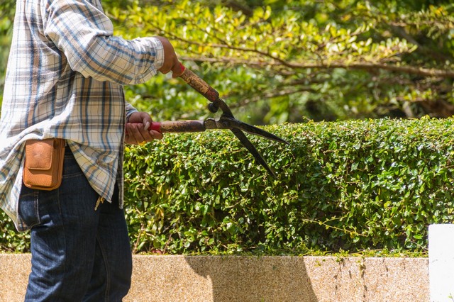 Garden Maintenance Perivale, UB6